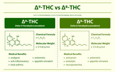 Natural Cannabis Compounds: Delta-8 vs. Delta-9