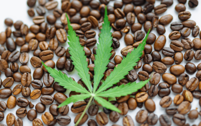 CBD Coffee Blend to Elevate Your Morning